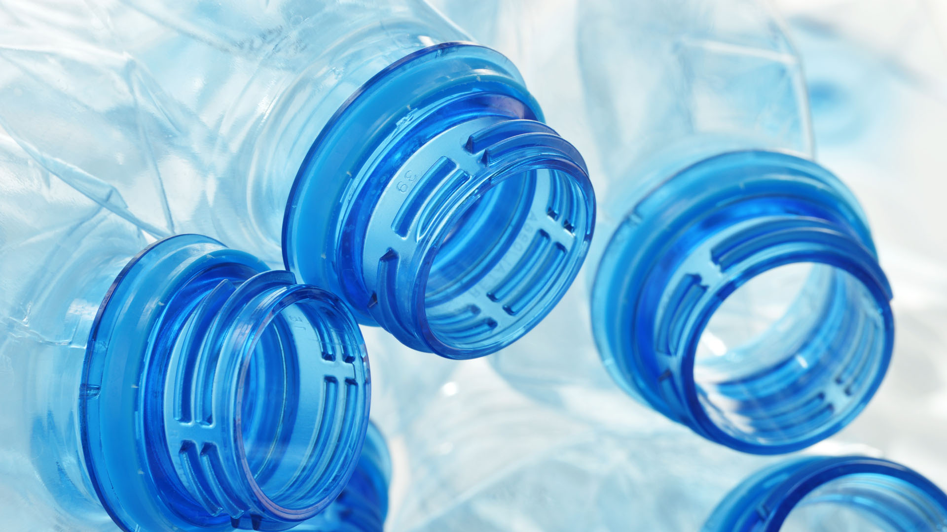 How Plastic Can Influence Fertility