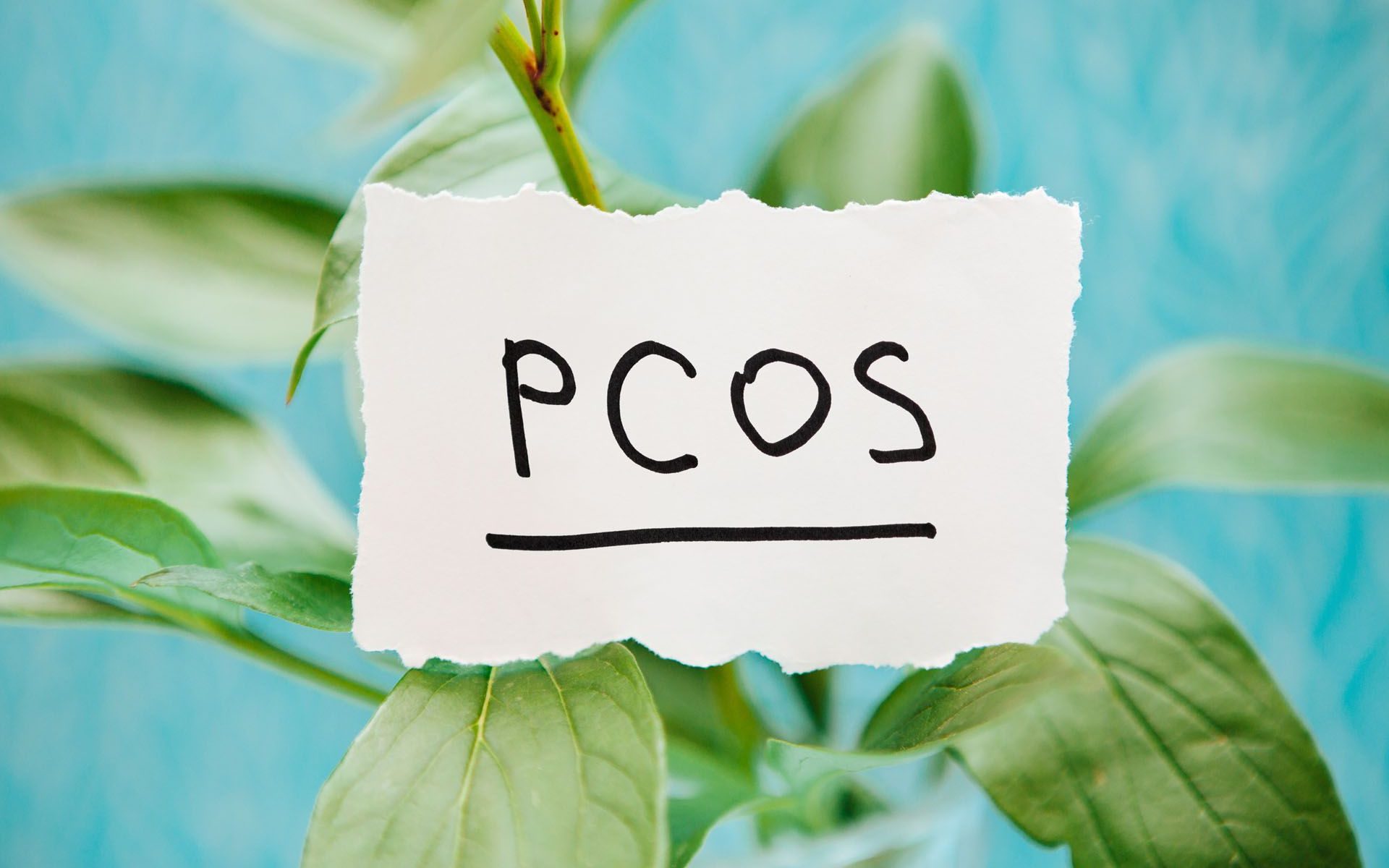 pcos awareness month fertility acupuncture reading